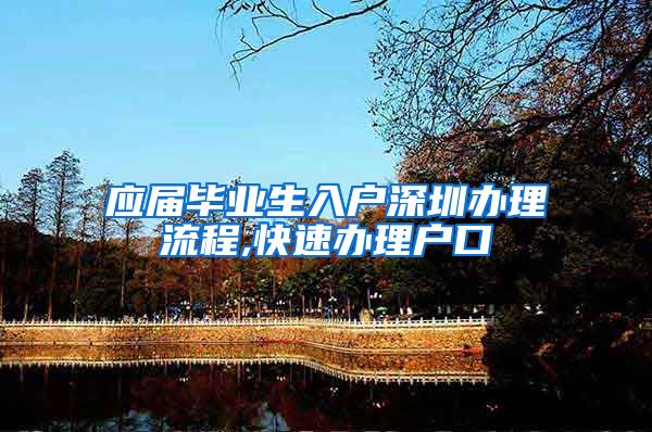 应届毕业生入户深圳办理流程,快速办理户口