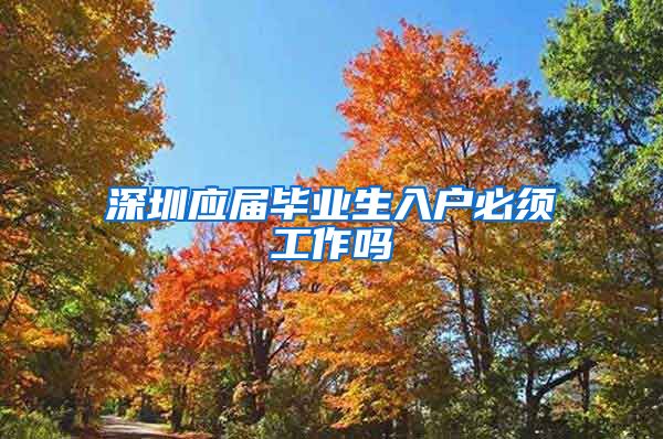 深圳应届毕业生入户必须工作吗