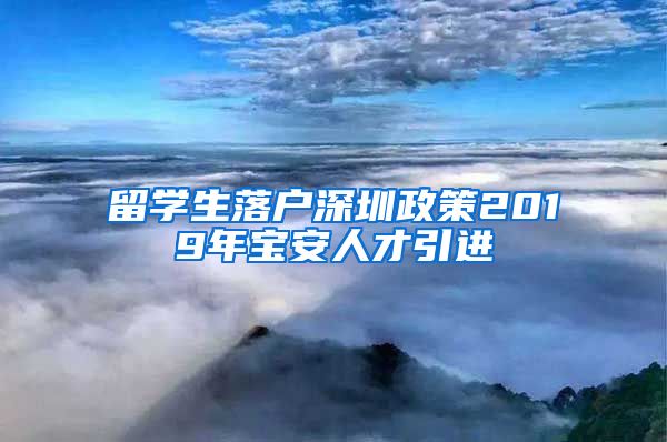 留学生落户深圳政策2019年宝安人才引进