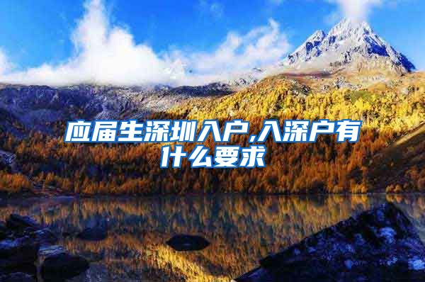应届生深圳入户,入深户有什么要求