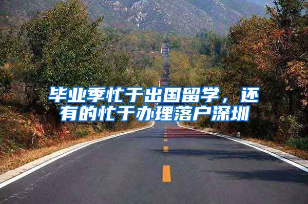 毕业季忙于出国留学，还有的忙于办理落户深圳