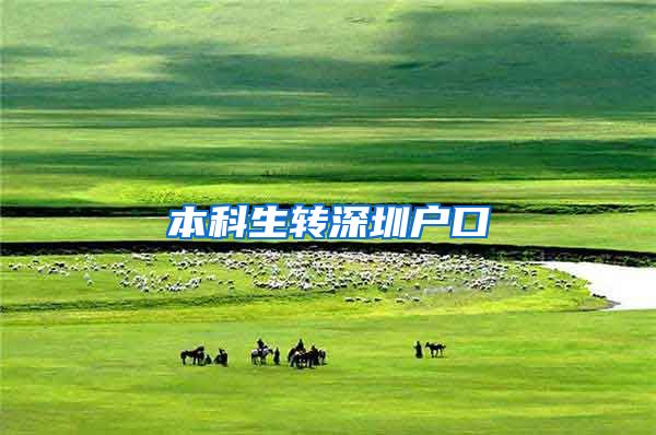 本科生转深圳户口