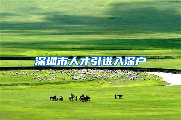 深圳市人才引进入深户