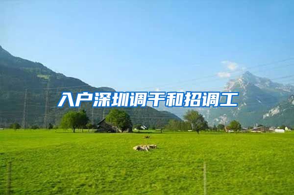 入户深圳调干和招调工