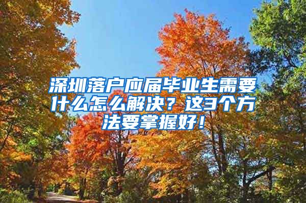 深圳落户应届毕业生需要什么怎么解决？这3个方法要掌握好！