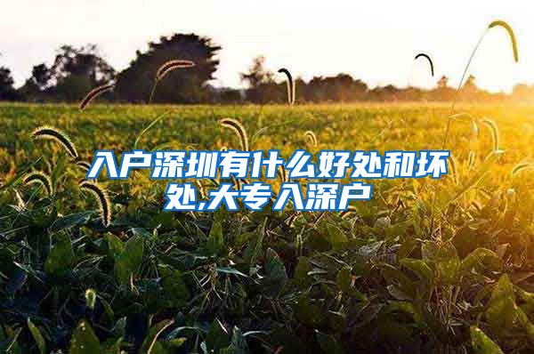 入户深圳有什么好处和坏处,大专入深户