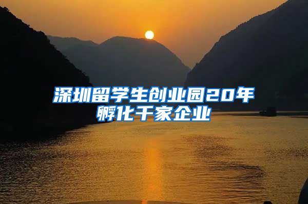 深圳留学生创业园20年孵化千家企业