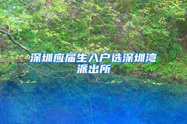 深圳应届生入户选深圳湾派出所