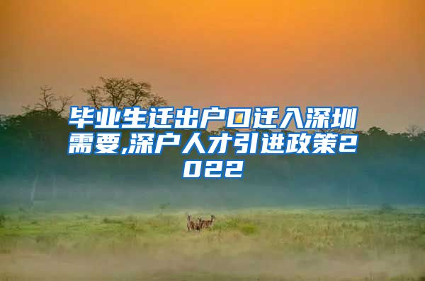 毕业生迁出户口迁入深圳需要,深户人才引进政策2022