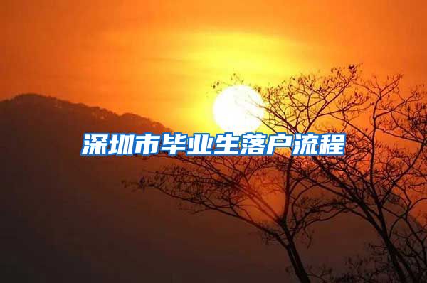 深圳市毕业生落户流程