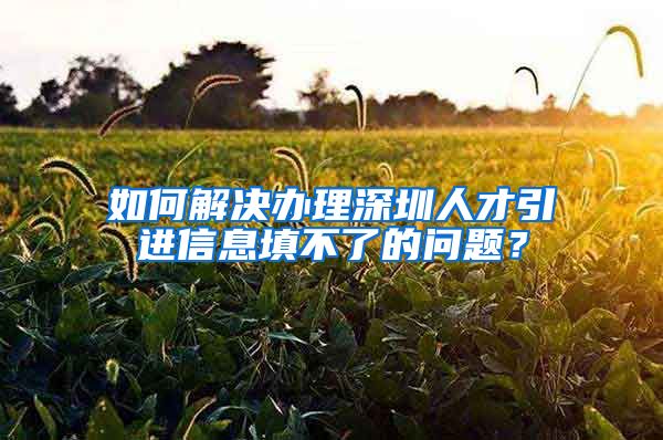 如何解决办理深圳人才引进信息填不了的问题？