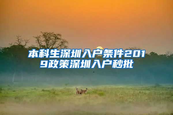本科生深圳入户条件2019政策深圳入户秒批