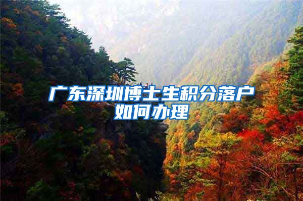 广东深圳博士生积分落户如何办理