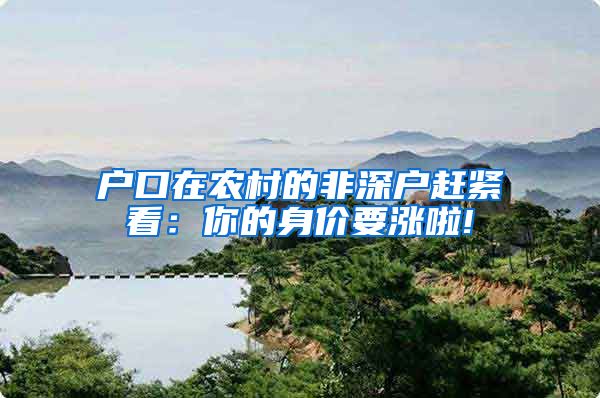 户口在农村的非深户赶紧看：你的身价要涨啦!