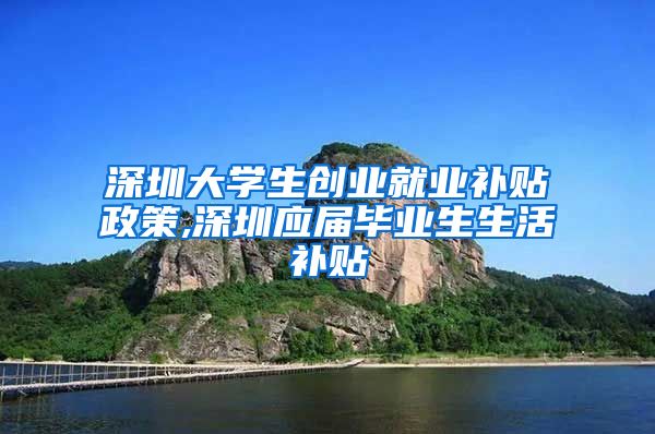 深圳大学生创业就业补贴政策,深圳应届毕业生生活补贴