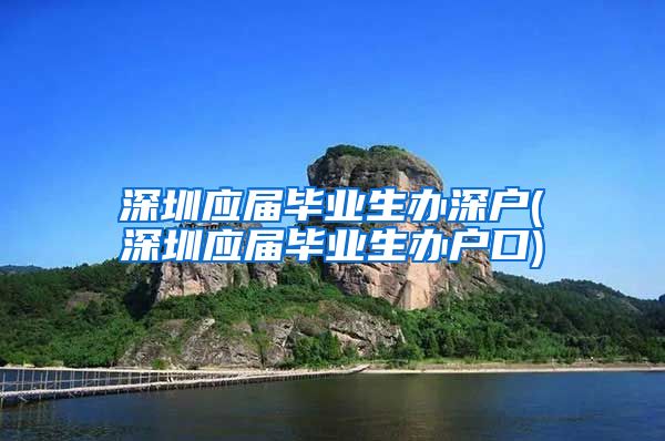 深圳应届毕业生办深户(深圳应届毕业生办户口)