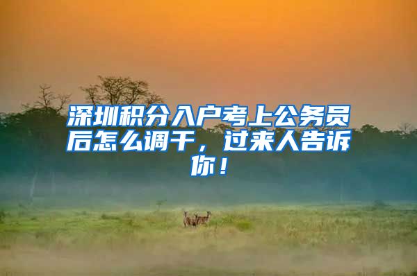 深圳积分入户考上公务员后怎么调干，过来人告诉你！
