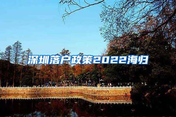 深圳落户政策2022海归