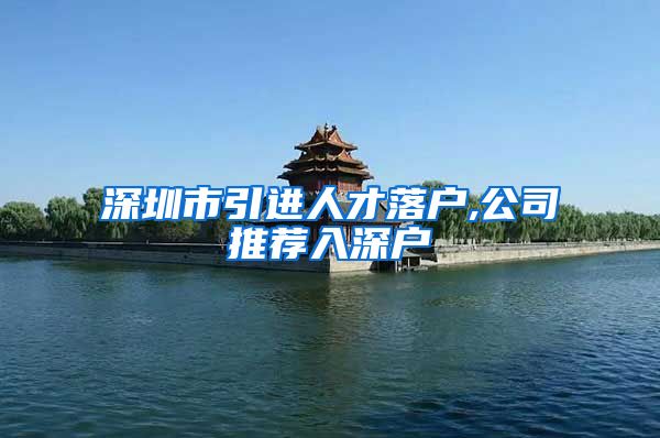 深圳市引进人才落户,公司推荐入深户
