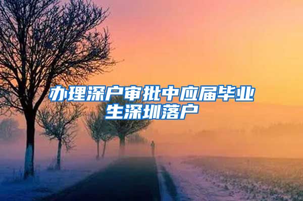 办理深户审批中应届毕业生深圳落户