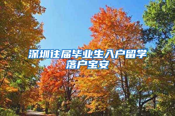 深圳往届毕业生入户留学落户宝安