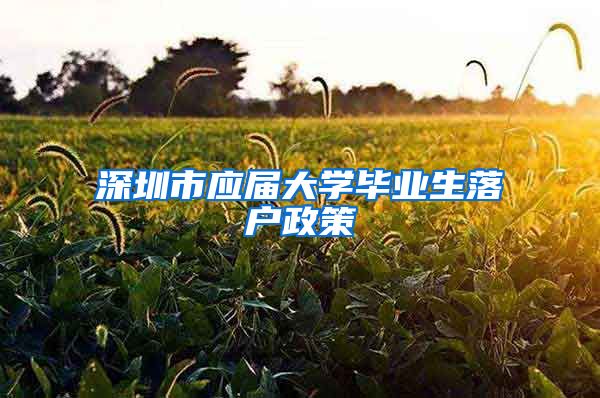 深圳市应届大学毕业生落户政策