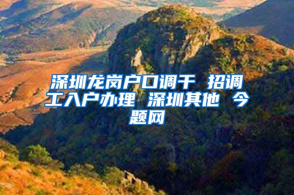 深圳龙岗户口调干 招调工入户办理 深圳其他 今题网