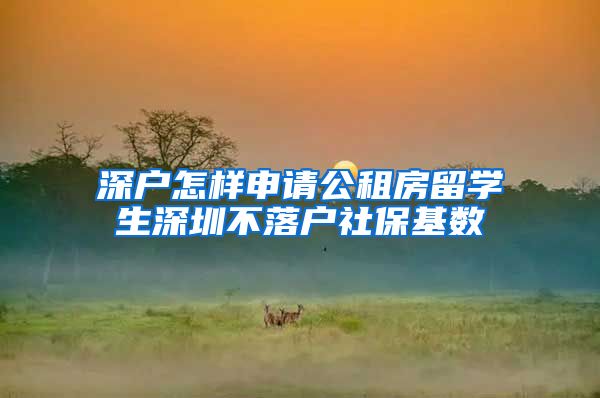 深户怎样申请公租房留学生深圳不落户社保基数