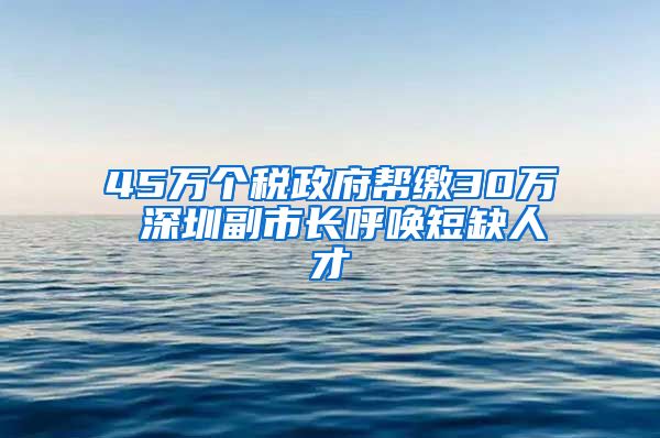 45万个税政府帮缴30万 深圳副市长呼唤短缺人才