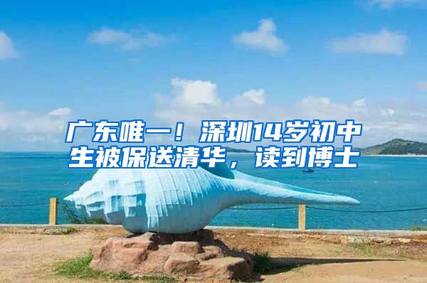 广东唯一！深圳14岁初中生被保送清华，读到博士