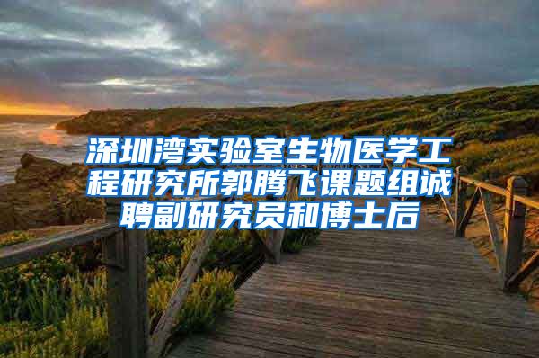 深圳湾实验室生物医学工程研究所郭腾飞课题组诚聘副研究员和博士后