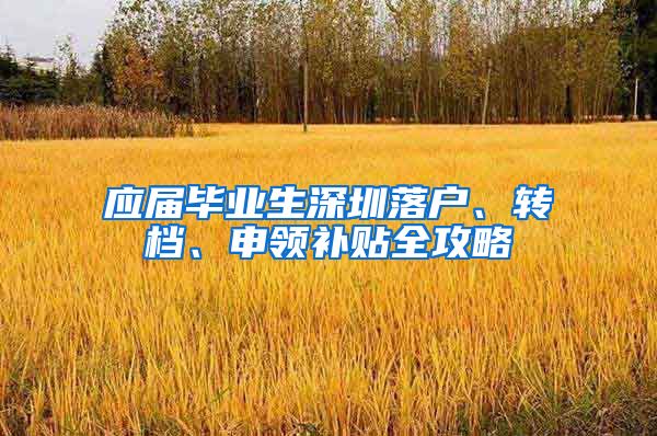 应届毕业生深圳落户、转档、申领补贴全攻略