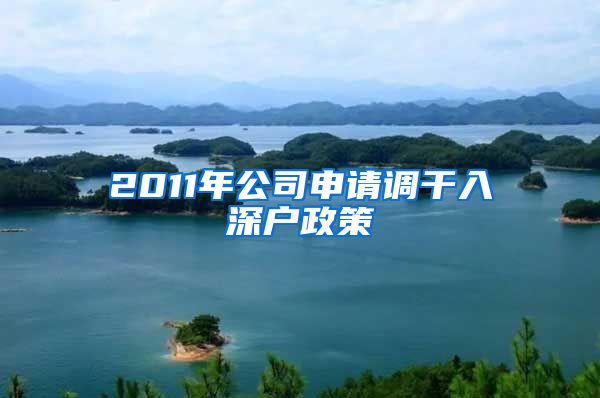 2011年公司申请调干入深户政策