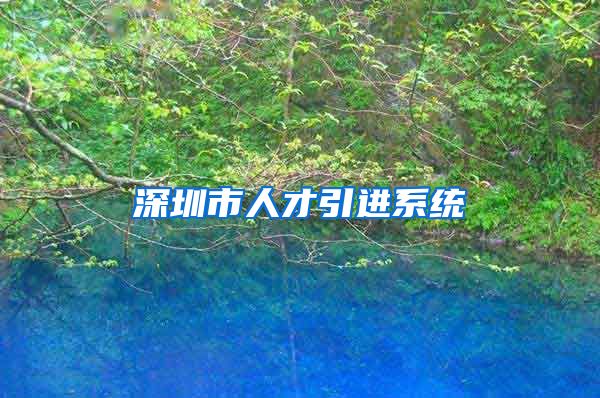 深圳市人才引进系统