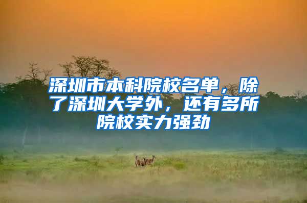 深圳市本科院校名单，除了深圳大学外，还有多所院校实力强劲