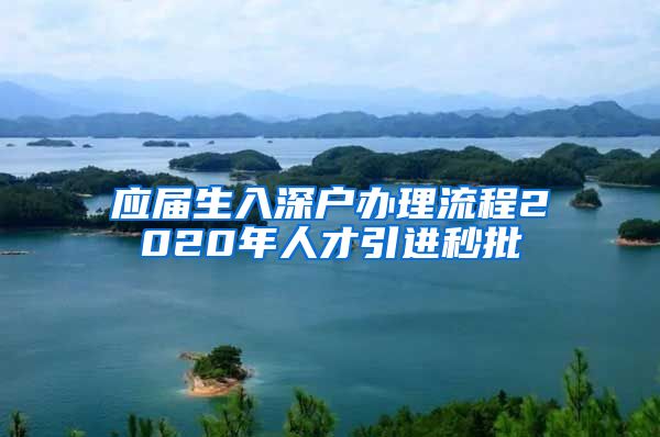 应届生入深户办理流程2020年人才引进秒批