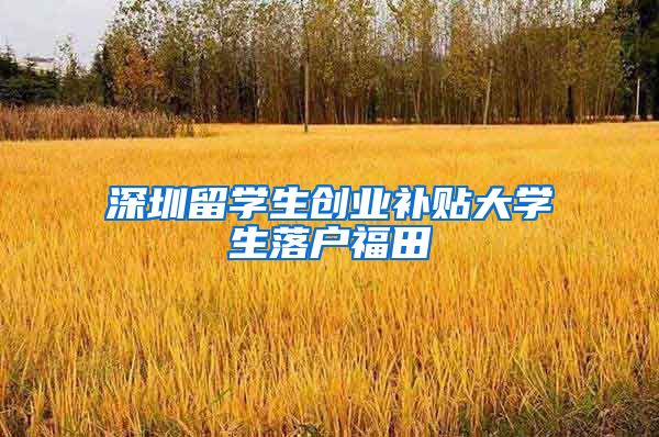 深圳留学生创业补贴大学生落户福田