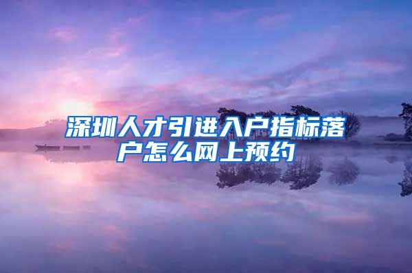 深圳人才引进入户指标落户怎么网上预约