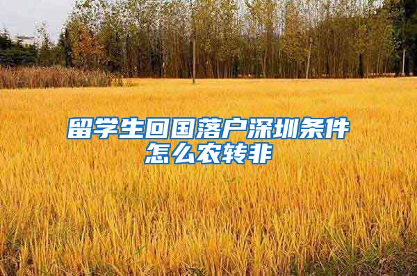留学生回国落户深圳条件怎么农转非