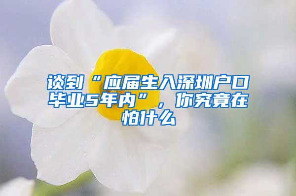 谈到“应届生入深圳户口毕业5年内”，你究竟在怕什么