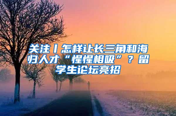 关注丨怎样让长三角和海归人才“惺惺相吸”？留学生论坛亮招