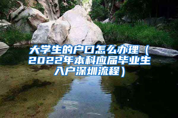 大学生的户口怎么办理（2022年本科应届毕业生入户深圳流程）