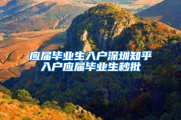 应届毕业生入户深圳知乎入户应届毕业生秒批