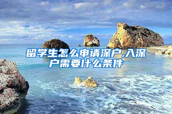 留学生怎么申请深户,入深户需要什么条件