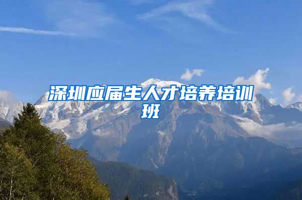 深圳应届生人才培养培训班