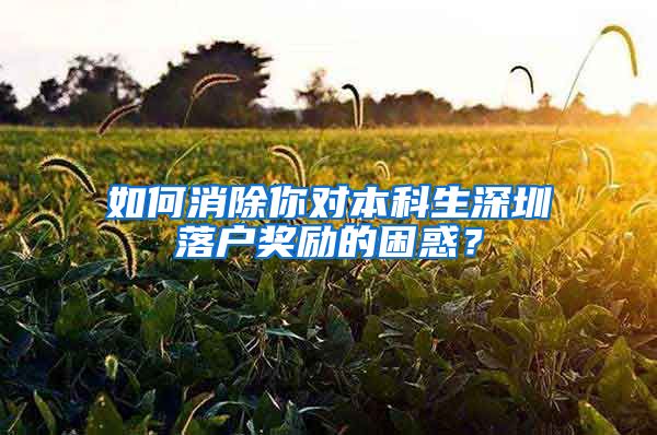 如何消除你对本科生深圳落户奖励的困惑？