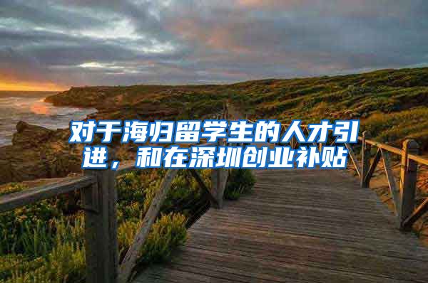 对于海归留学生的人才引进，和在深圳创业补贴