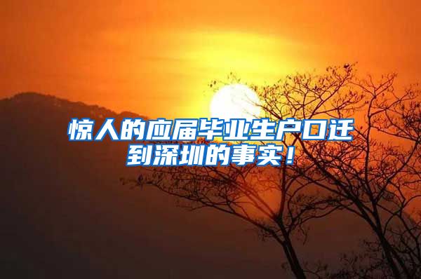 惊人的应届毕业生户口迁到深圳的事实！