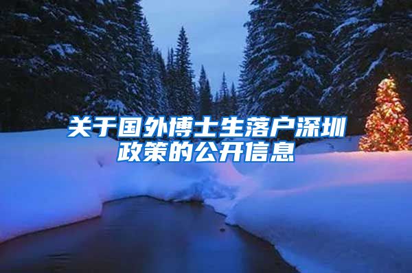 关于国外博士生落户深圳政策的公开信息