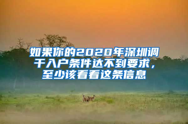 如果你的2020年深圳调干入户条件达不到要求，至少该看看这条信息